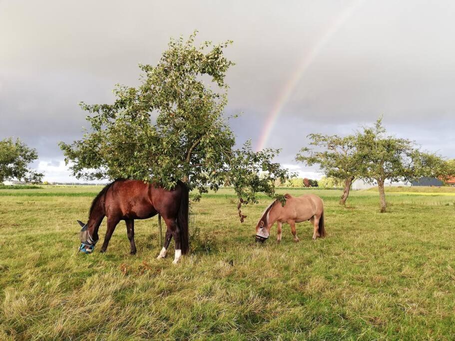 'T Pekelhuis - Vakantiehuisje Op Boerderij Huize Blokland Hem Exterior foto